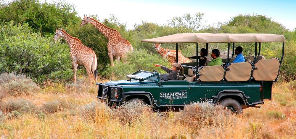 The Good Life Travel Guide