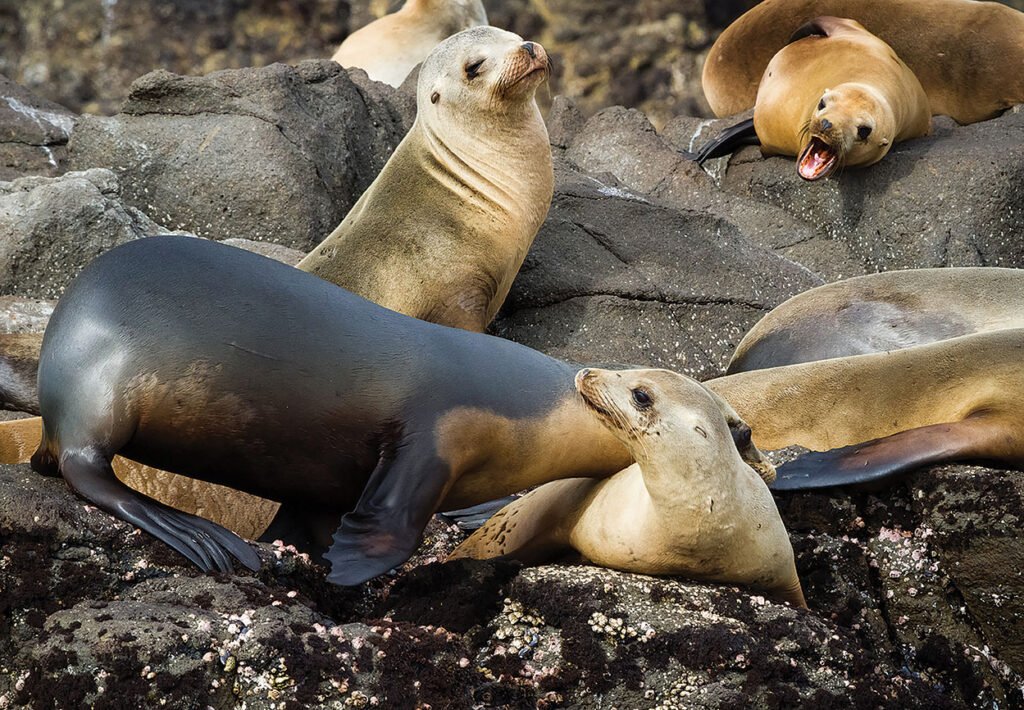 10 Unusual Ideas for Vacations (Even Teenagers Will Love)