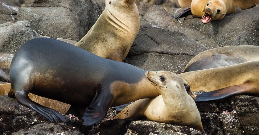 10 Unusual Ideas for Vacations (Even Teenagers Will Love)