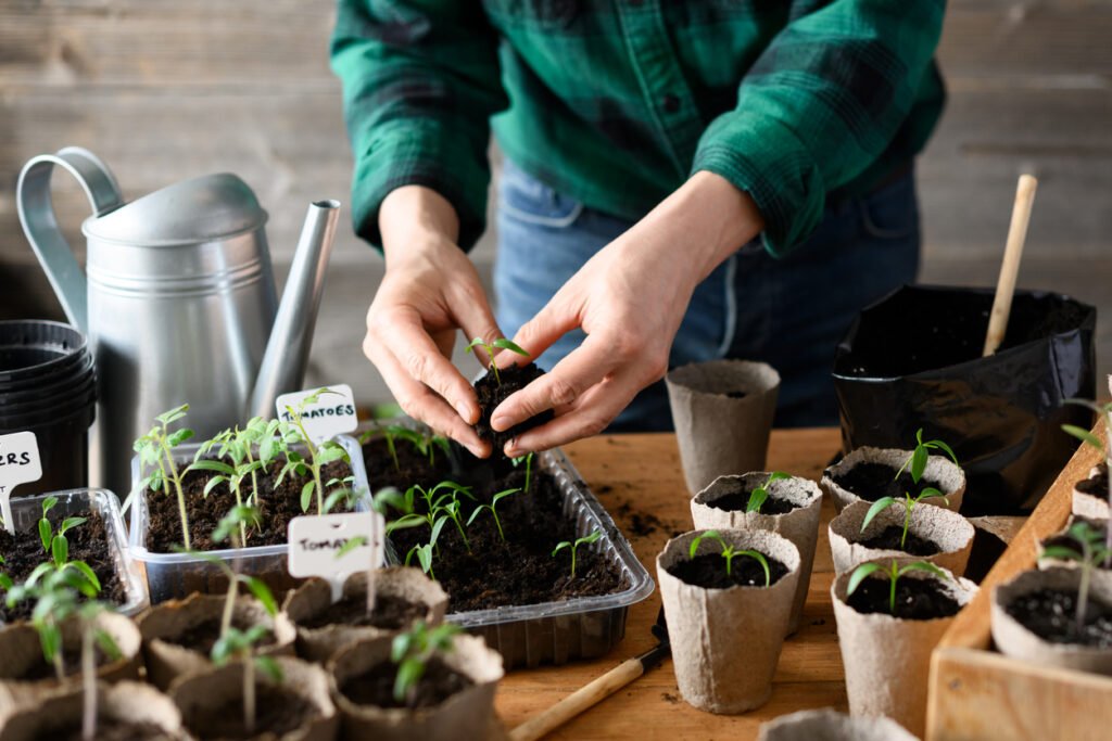 7 Frugal Gardening Tips and Tricks