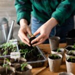 7 Frugal Gardening Tips and Tricks