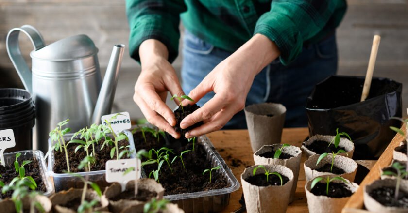 7 Frugal Gardening Tips and Tricks