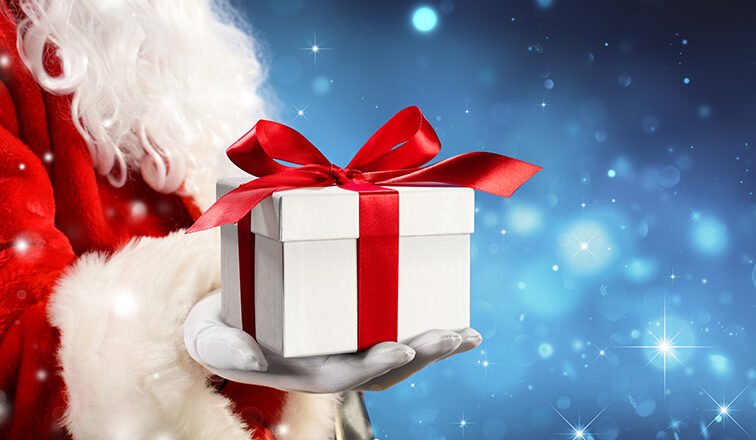 Holiday Gift Guide