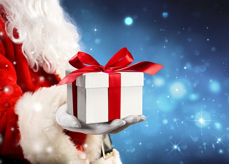 Holiday Gift Guide