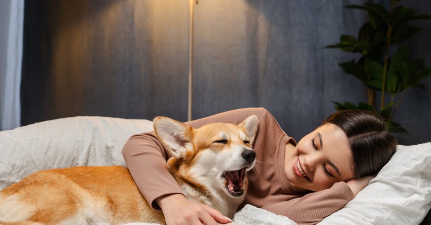 Sweet Dreams: How To Help Your Kids Get A Good Nights Sleep