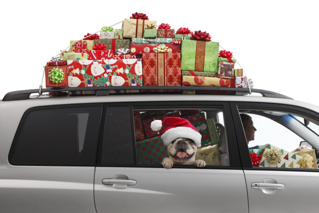 5 Tips for Safe Holiday Travel