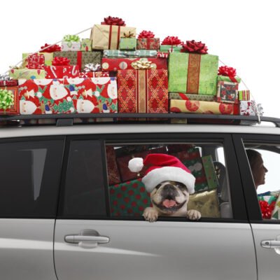 5 Tips for Safe Holiday Travel
