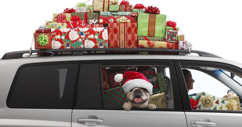 5 Tips for Safe Holiday Travel